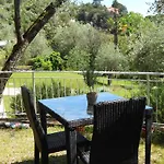 Blueline Tellaro
