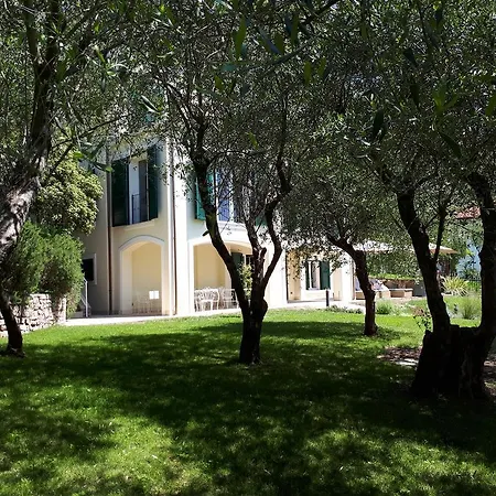 Blueline Tellaro
