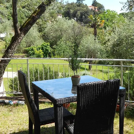 Blueline Tellaro