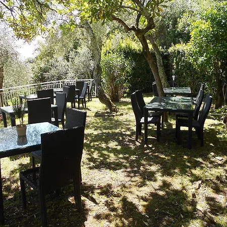 Blueline Телларо